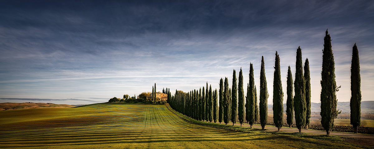 Tuscan Cypress Road