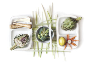Fresh Vegetable Still Life