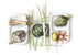 Fresh Vegetable Still Life