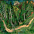 Waldschlucht Stafel