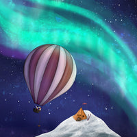 Hot air balloon trip