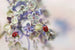 Ladybugs on Soft Flowers