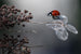 Red Ladybug Serenity