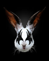 Rabbit Rocks