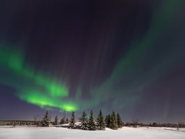 Lappland Polarlichter I