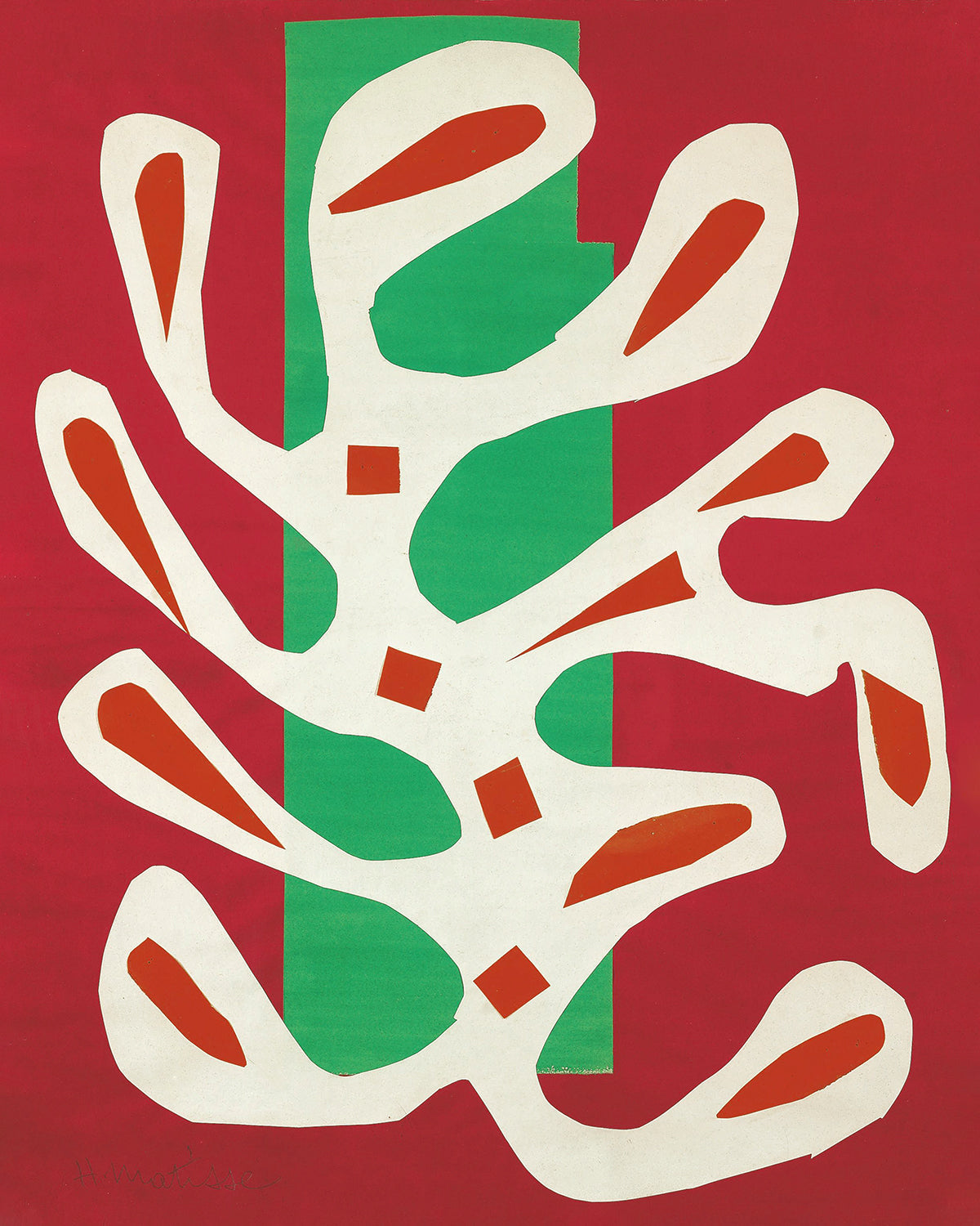 Algue blanche sur fond rouge et vert