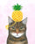 Pineapple Hat on the Cat