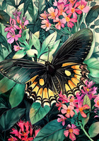 Butterfly watercolor animal art II