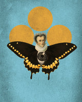Flying prince