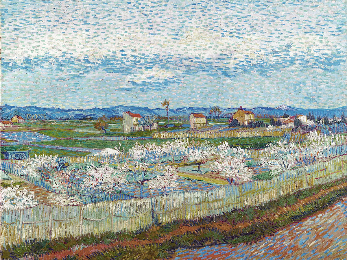 Pesco in fiore