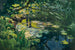 Teich in der Mark