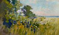 Sommerliche Uferlandschaft