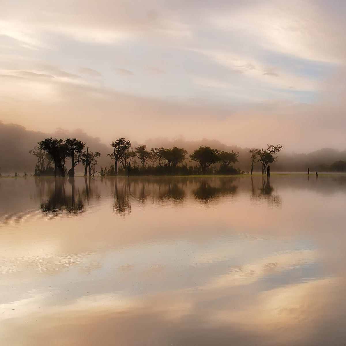Dawn Mist on the Amazon