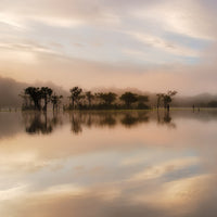 Dawn Mist on the Amazon