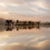 Dawn Mist on the Amazon