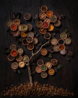 Spice Tree
