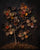 Spice Tree