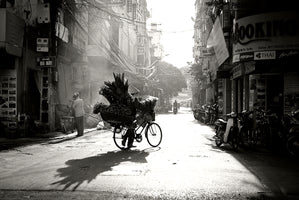 Hanoi Flower Vendor