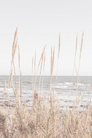 Beach Vass I