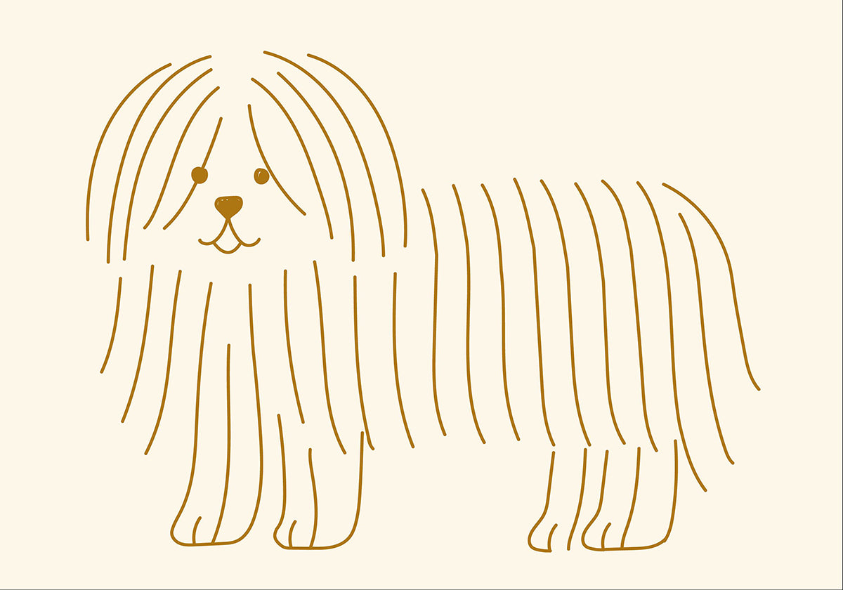 Hond