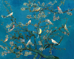 Birds In the Almond Blossom