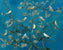 Birds In the Almond Blossom