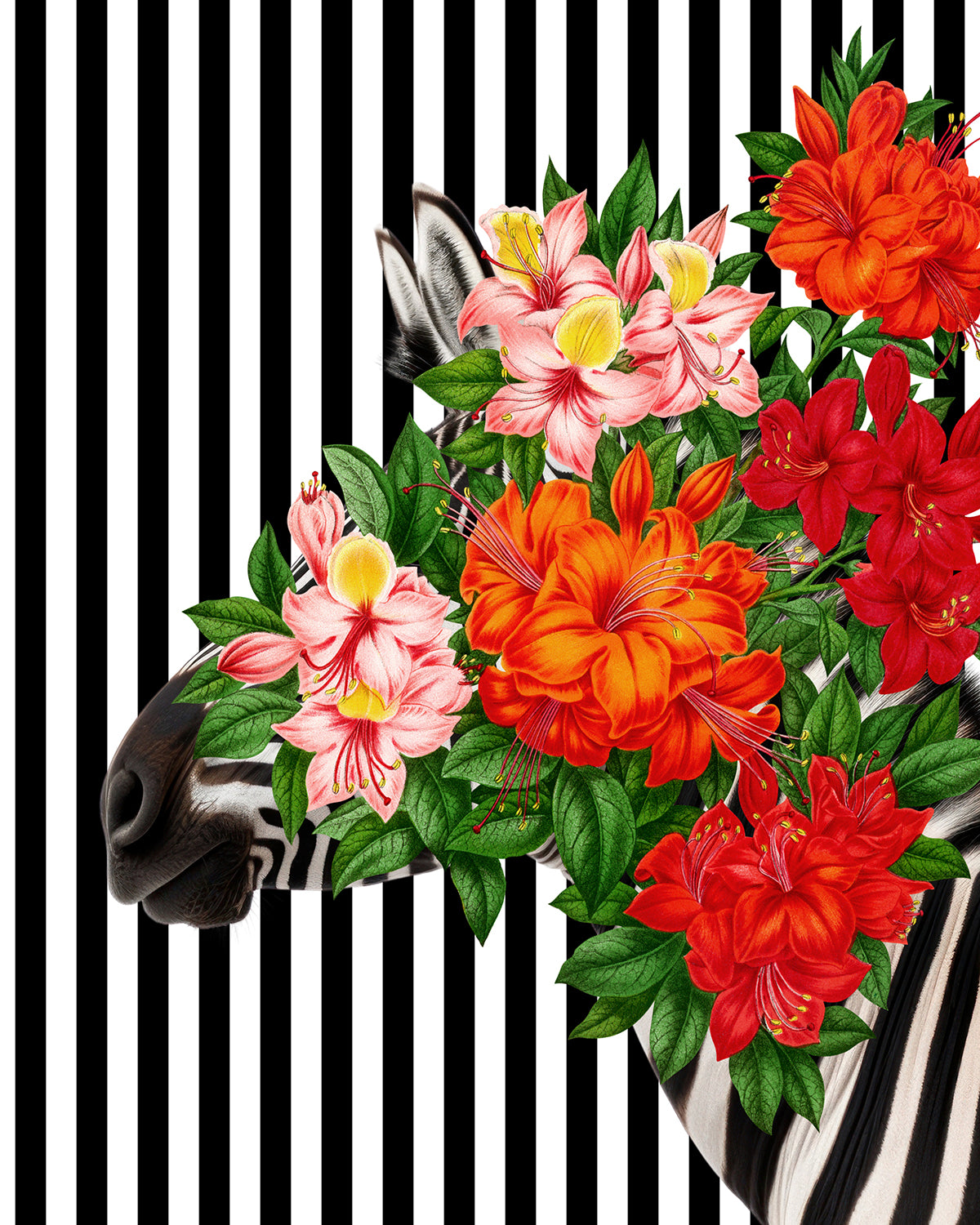 Tropical Zebra Bloom