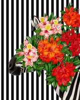 Tropical Zebra Bloom