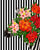 Tropical Zebra Bloom