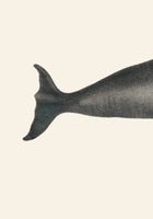 Whale I