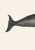 Whale I