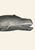 Whale II