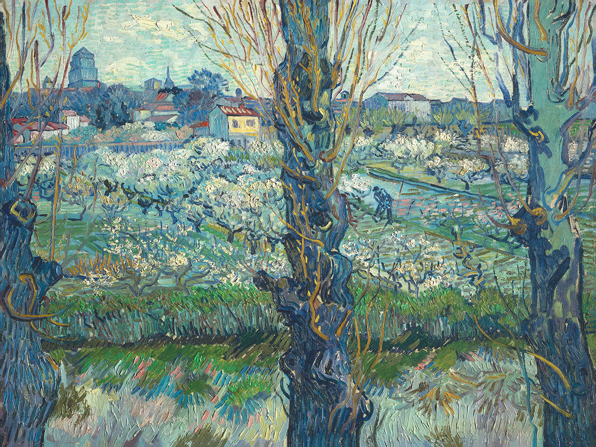Blick auf Arles