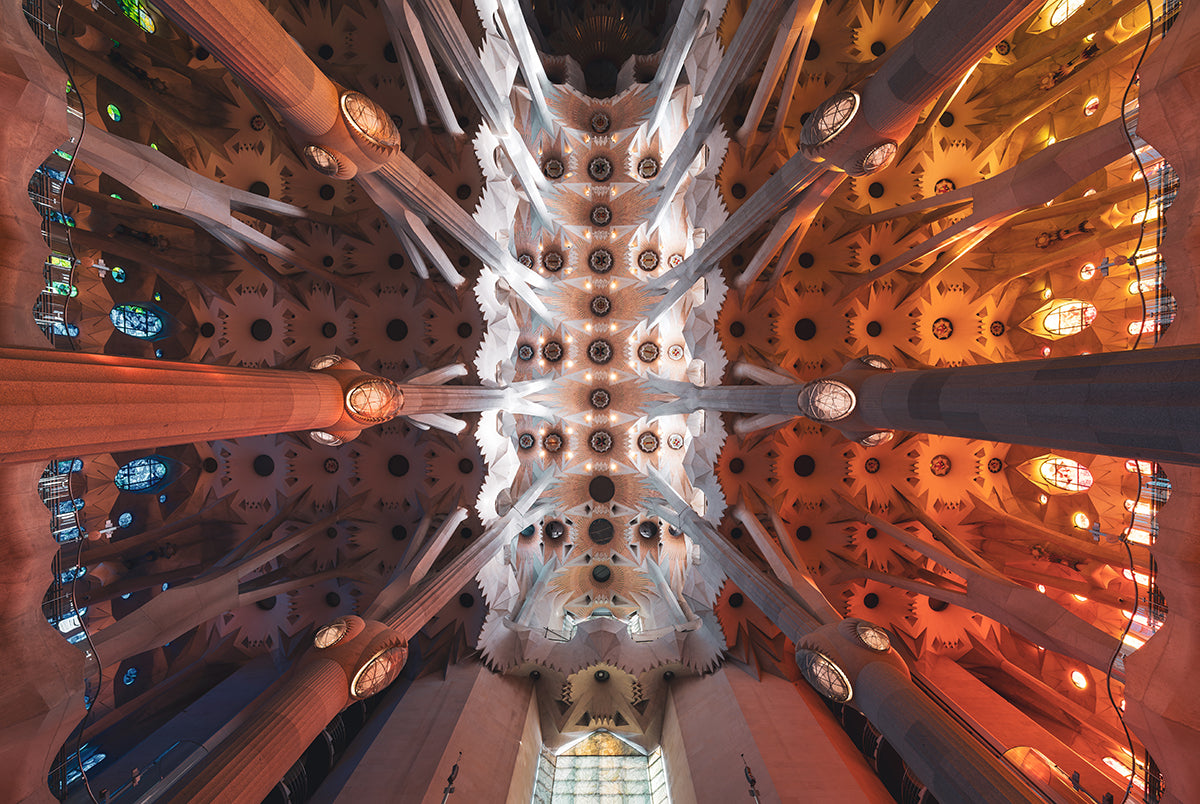 Grand Cathedral Ceiling