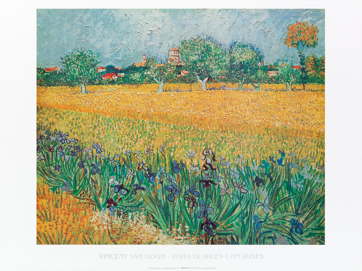 Vincent Van Gogh - Vista di Arles con irises
