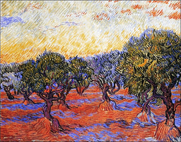 Vincent Van Gogh - Uliveto