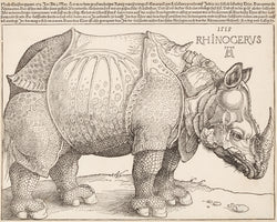 Albrecht Dürer - Rinocerus