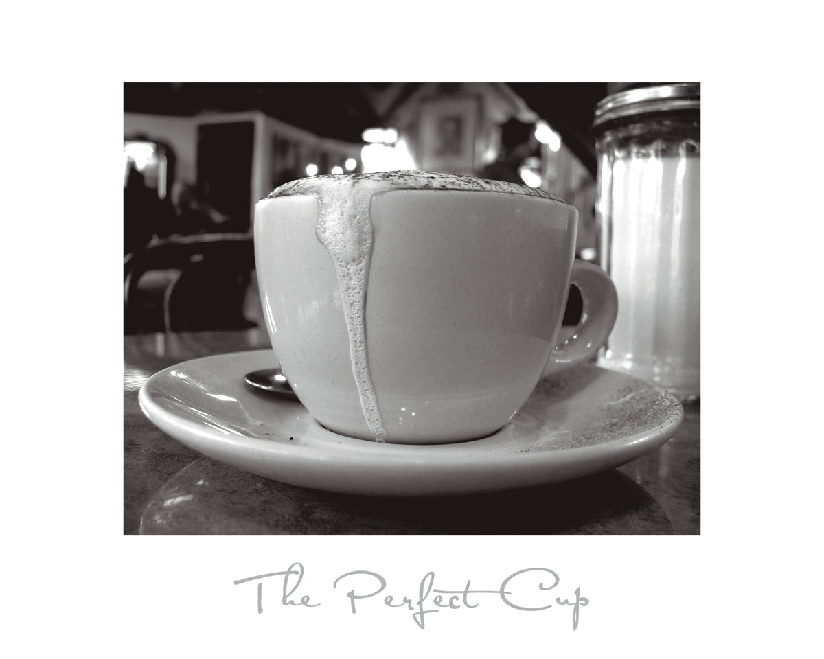 Scott Amour - The Perfect Cup