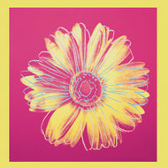 Andy Wahol - Daisy 1982