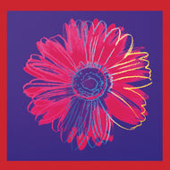 Andy Wahol - Daisy 1982