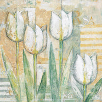 Eric Barjot - White Tulips