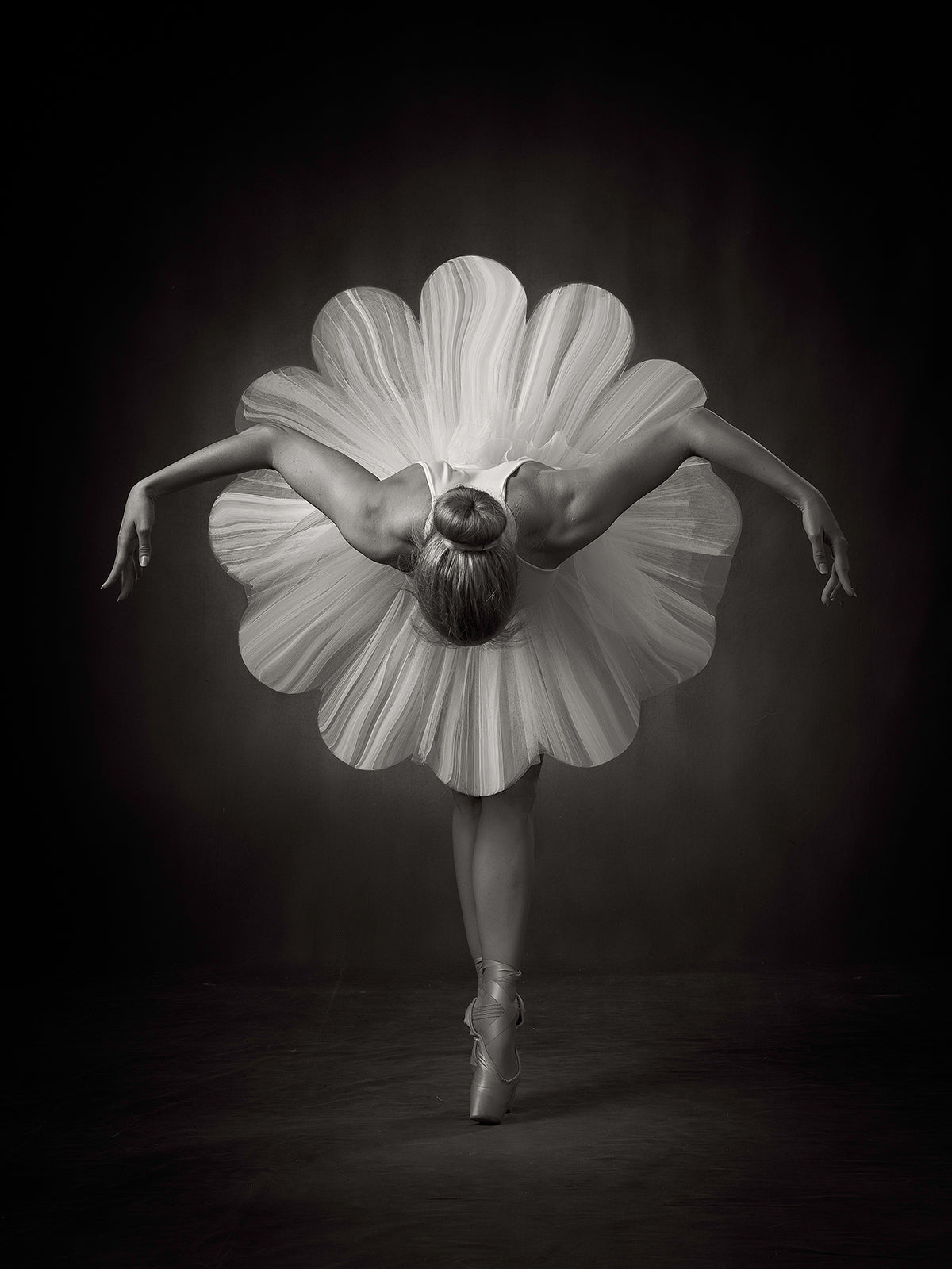 Floral Ballet