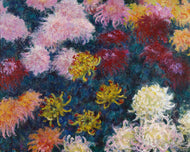 Chrysanthemen I