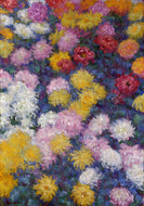 Chrysanthemen II