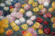 Chrysanthemen III
