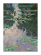 Water Lilies