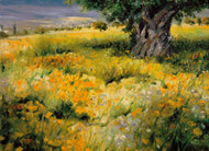 Christian Sommer - Sommerbaum