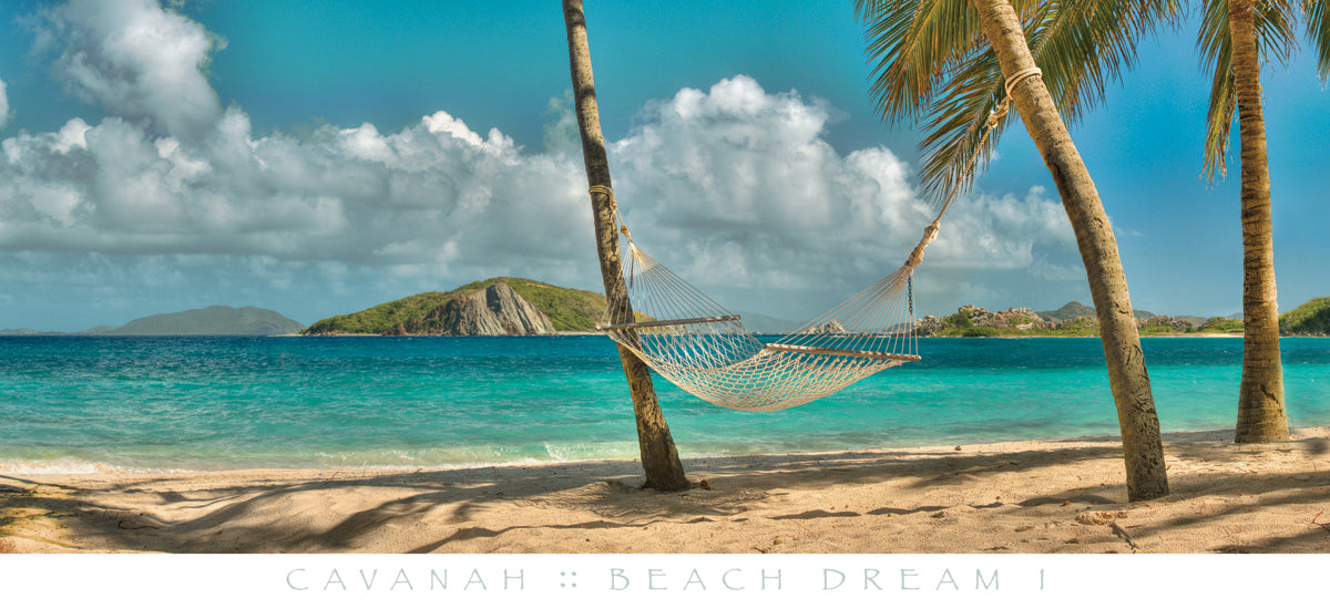 Doug Cavanah - Beach Dream I