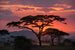Serengeti sunset