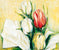 Elisabeth Krobs - Tulipa Antica